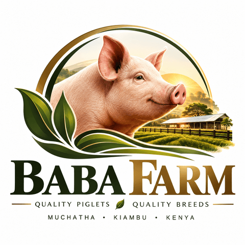 BABA FARM logo — Quality Piglets, Quality Breeds, Muchatha, Kiambu, Kenya